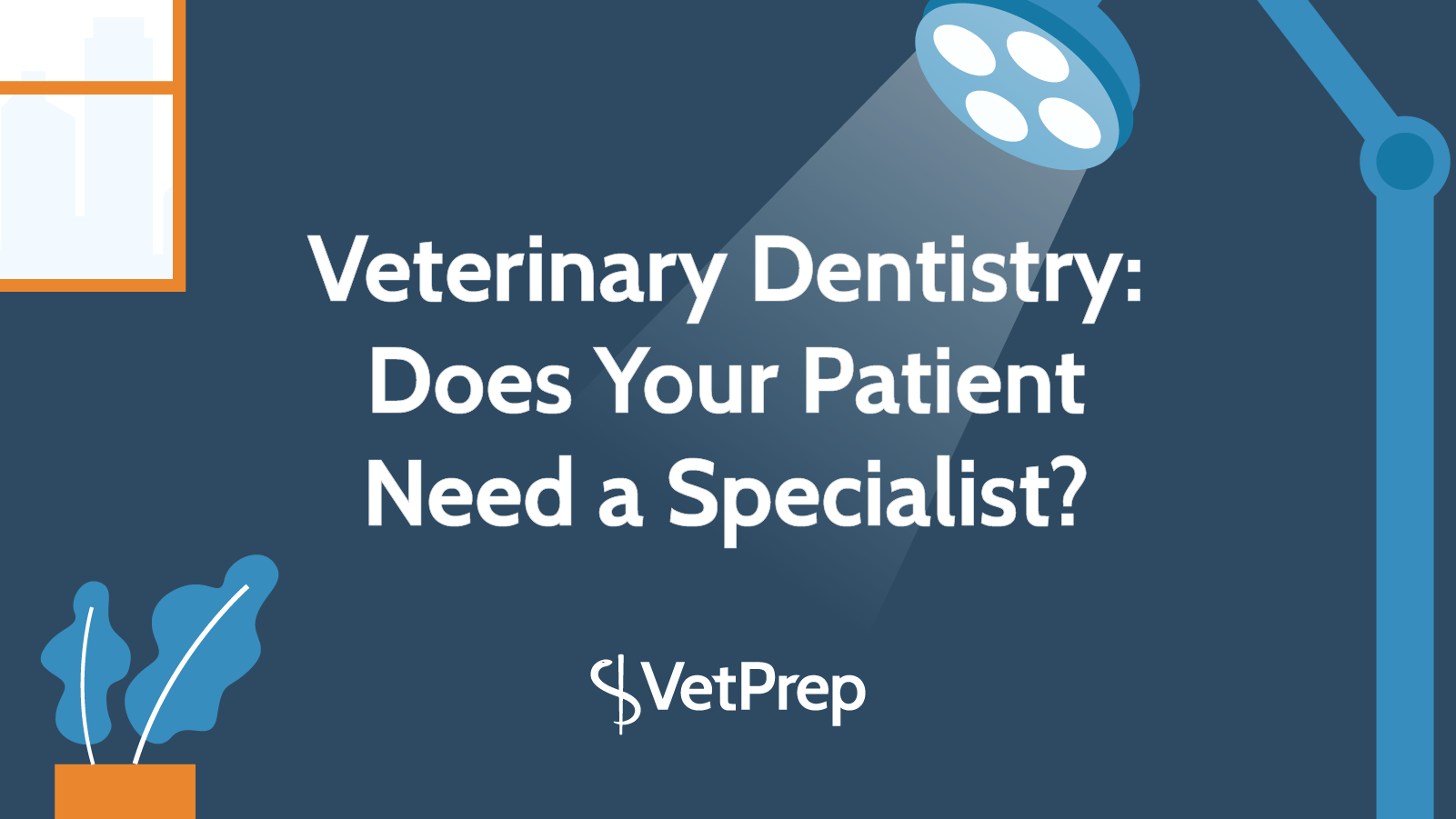 Veterinary dental best sale specialist near me